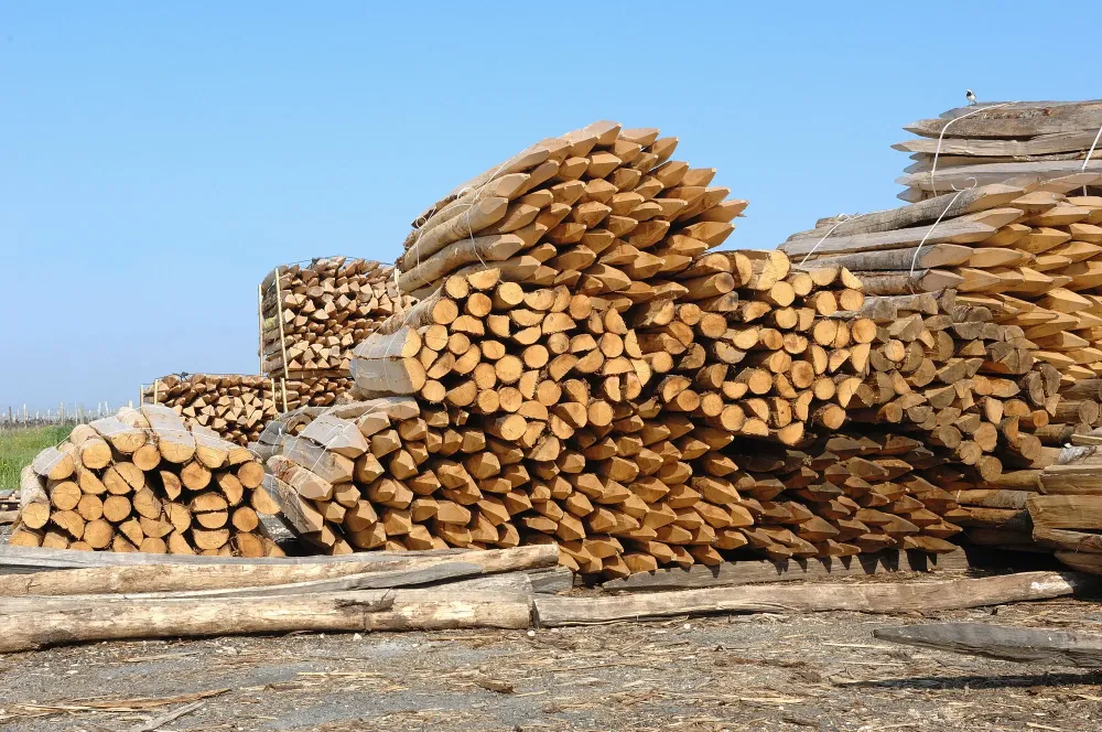 commerce de bois à Saint-Estèphe