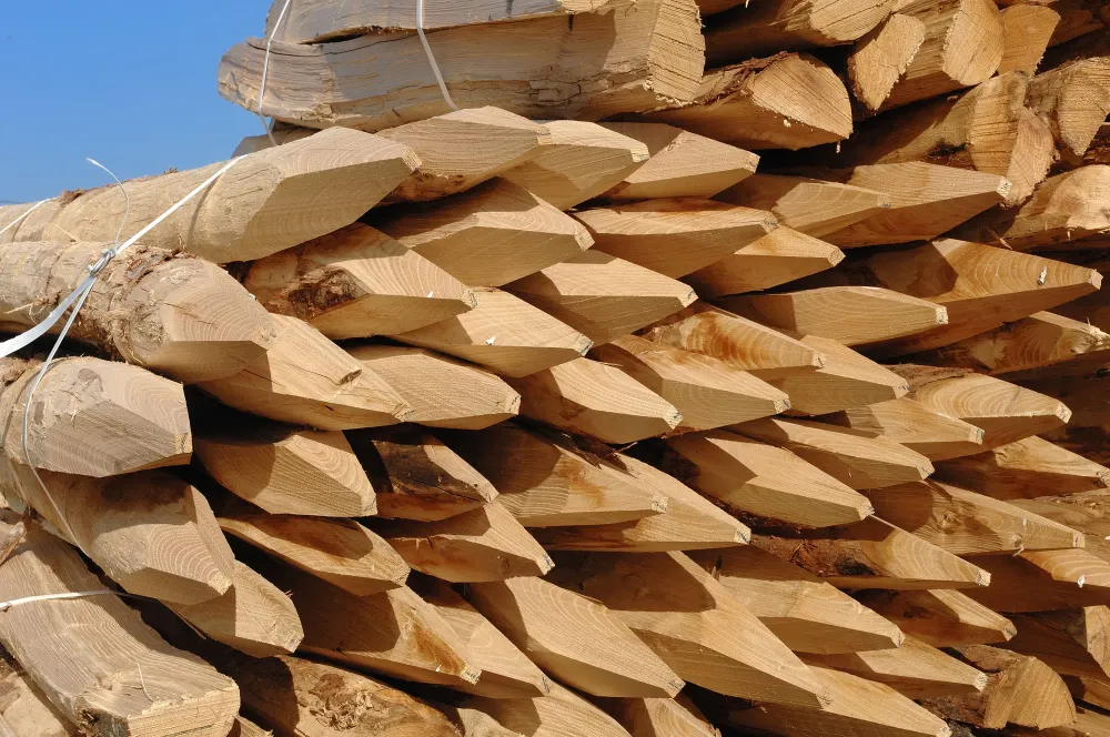 Bois-acacia-2
