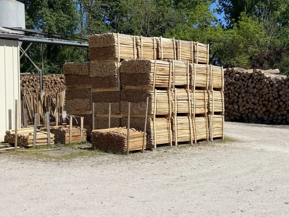 Euro Acacia (2)