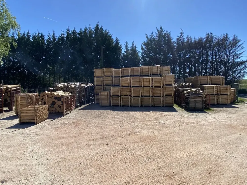 Euro Acacia (3)