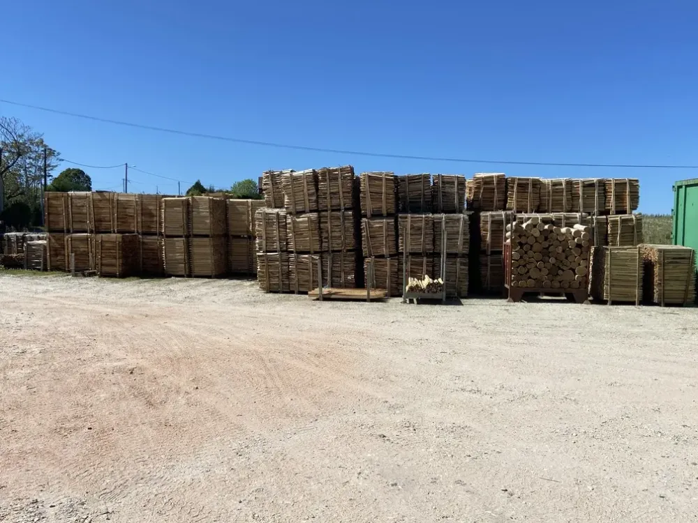 Euro Acacia (4)